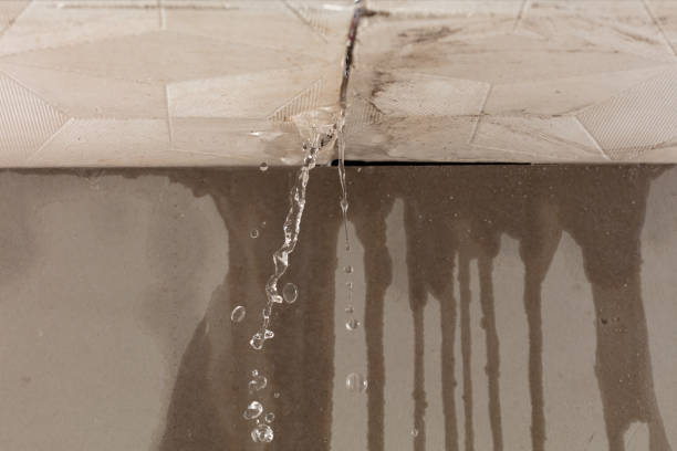 Professional Burst Pipe Cleanup technician working in Burlington, WA